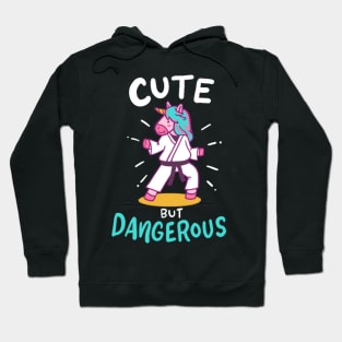 Karate Taekwondo Unicorn Hoodie